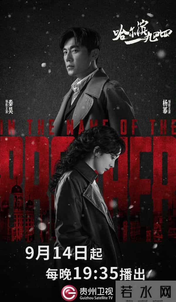 2025贵州卫视5大爆款剧,张晚意任敏新剧开播,你最看好哪一部