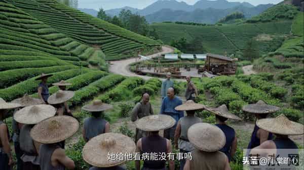 《大生意人》白依梅若能早明白这一点，也不至于被观众骂白眼狼了