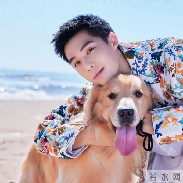 卖力宣传的电影票房惨淡,转头配个音票房20亿,王安宇这下尴尬了