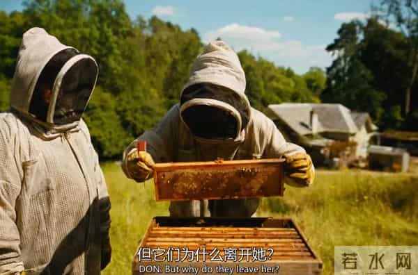 太癫了！这顶级女星又玩脱了