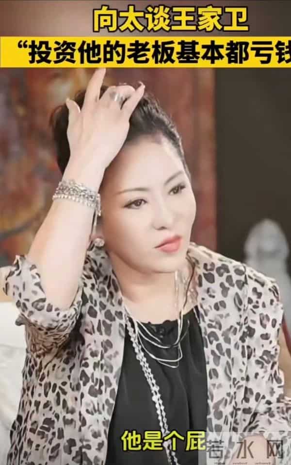 向太陈岚直言不讳：绝不录用王家卫！没有张叔平，他算个屁