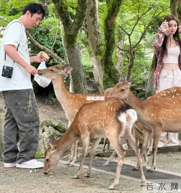 懒懒现状曝光，离开王思聪依旧“快活”，普通人没法过她这种生活