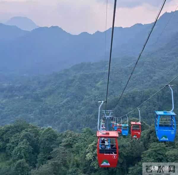 11岁小玥儿穿8万外套，很贵气！网友大赞马筱梅有功劳