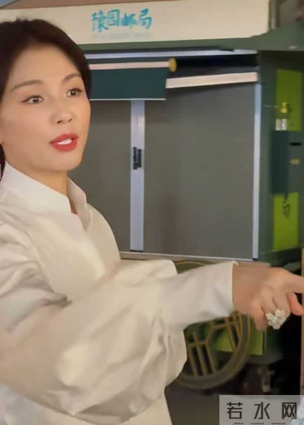 47岁刘涛豫园现身,休闲装配低马尾,气质优雅美得好高级