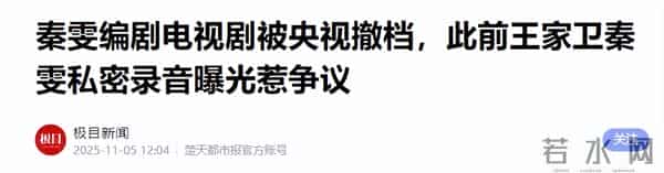 曝编剧秦雯袭警被立案调查？官媒出手，央视撤剧！势力大也没有用