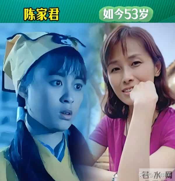 英叔电影“12位徒弟”今昔对比，你们还记得他们吗？