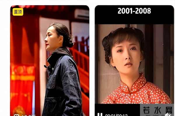 吃里扒外！定居美国13年，回国捞金惨遭“驱逐”，52岁活成了笑话