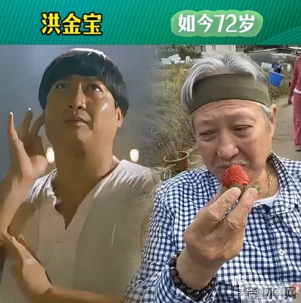 英叔电影“12位徒弟”今昔对比，你们还记得他们吗？