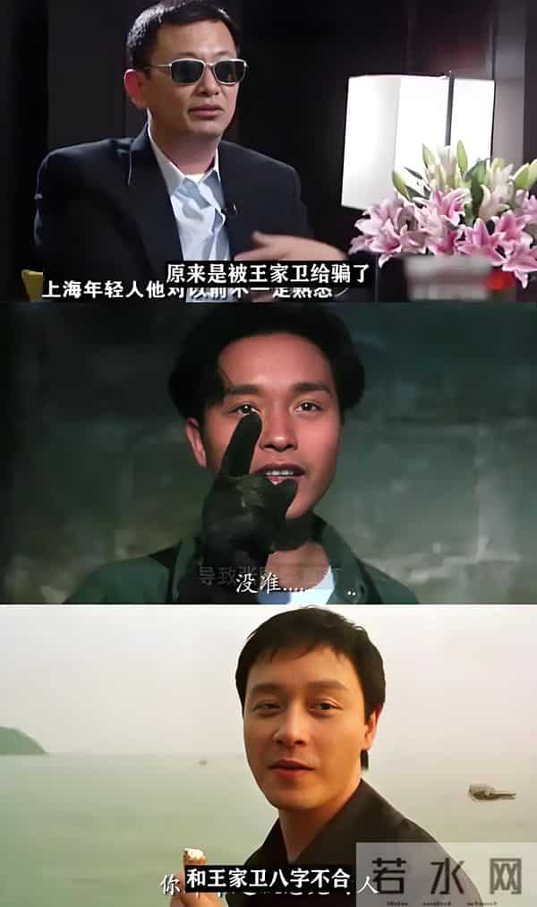 向太陈岚直言不讳：绝不录用王家卫！没有张叔平，他算个屁