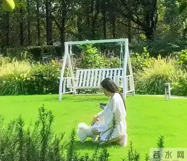 张馨予一人在家吃长毛的蘑菇酱，胃里翻江倒海，老公何捷在校上班