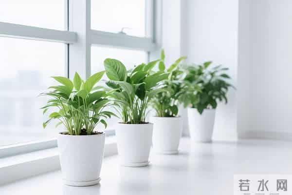 如果一个人还在穿 10 年前的衣服，说明了 3 个问题