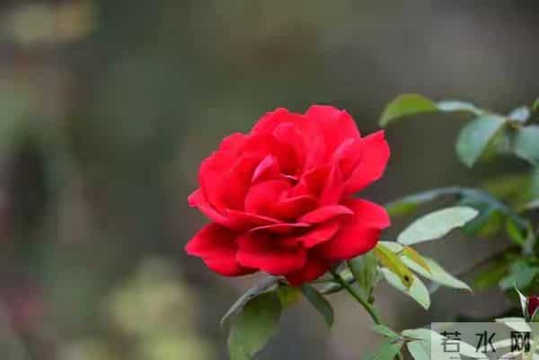 等我老了也要这么打扮：不烫西蓝花、不穿大妈装、也不戴廉价首饰