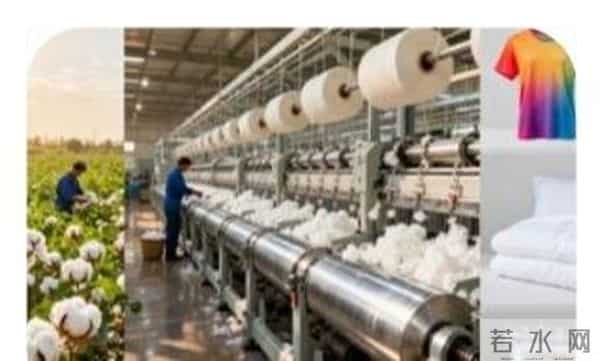 棉花没消失!为啥现在衣服全是聚酯纤维,难穿到纯棉?