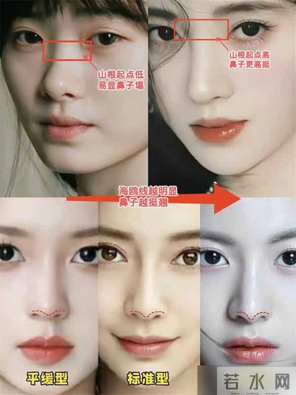 一个女人好不好看,看她的“鼻子”就知道了,差别不是一般的大