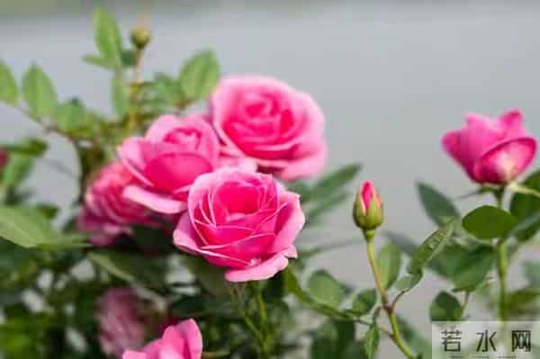 等我老了也要这么打扮：不烫西蓝花、不穿大妈装、也不戴廉价首饰