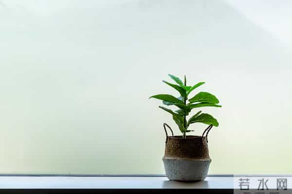 如果一个人还在穿 10 年前的衣服,说明了 3 个问题