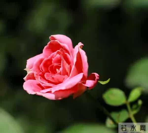 等我老了也要这么打扮：不烫西蓝花、不穿大妈装、也不戴廉价首饰