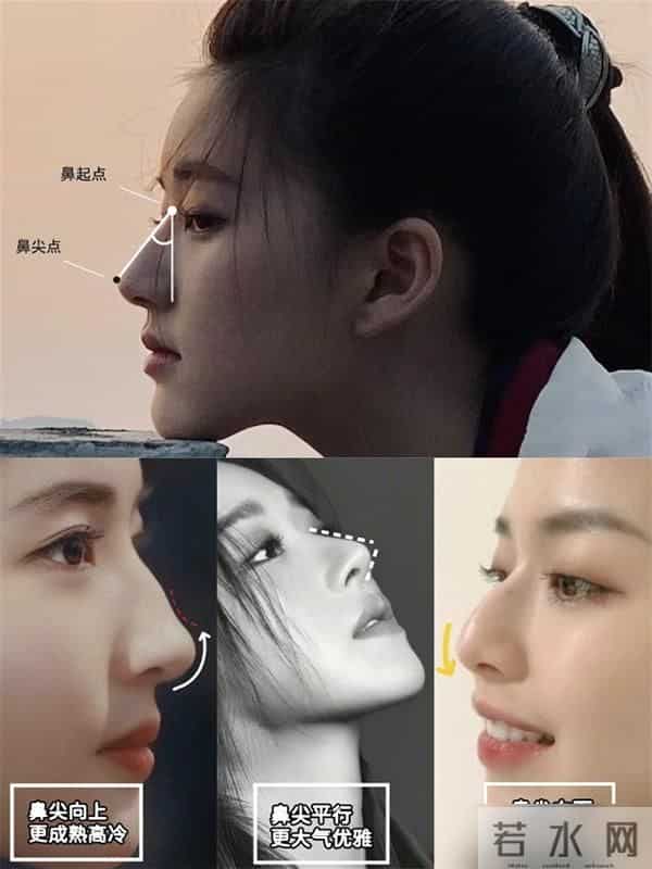 一个女人好不好看,看她的“鼻子”就知道了,差别不是一般的大