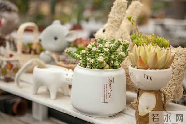 如果一个人还在穿 10 年前的衣服,说明了 3 个问题