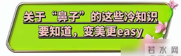 一个女人好不好看,看她的“鼻子”就知道了,差别不是一般的大