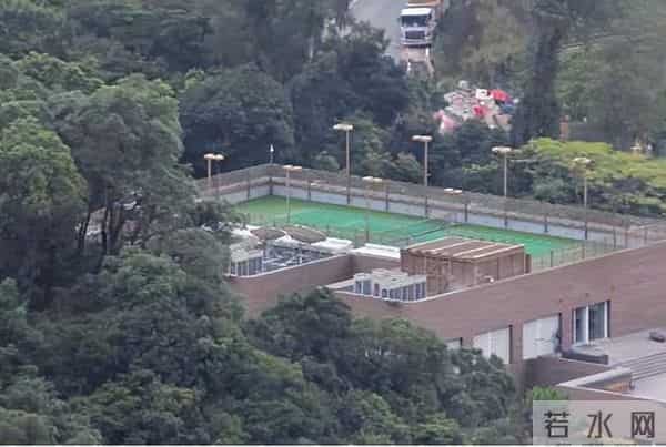 香港著名女星11亿豪宅,惊现大量蟑螂,现场尸横遍野,惨不忍睹