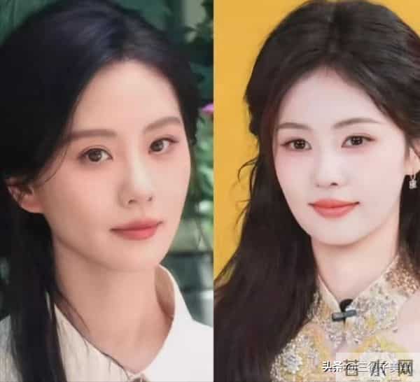 人走茶凉!这次红与不红的现实,在白鹿刘诗诗身上体现的淋漓尽致