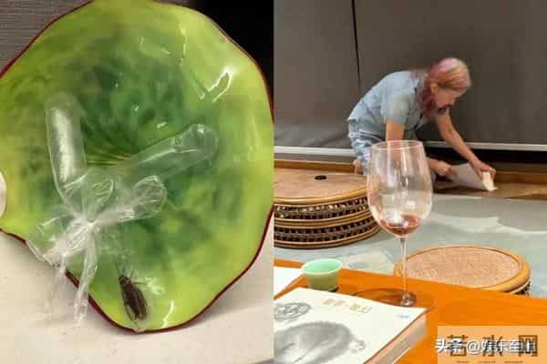 林青霞11亿豪宅遭大量蟑螂入侵,杀都杀不完,被吓到坐立难安
