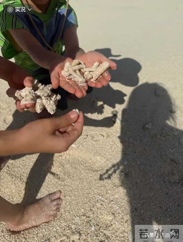 夏露晒泳装照 秀美背大长腿 疑马龙为妻拍照 陪两个儿子马尔代夫度假