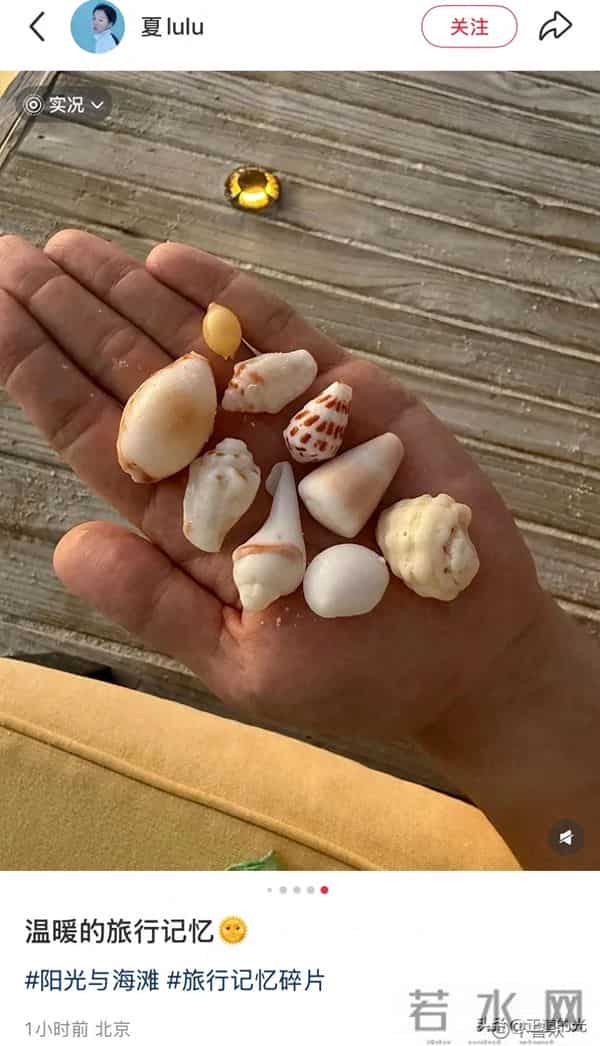 夏露晒泳装照 秀美背大长腿 疑马龙为妻拍照 陪两个儿子马尔代夫度假