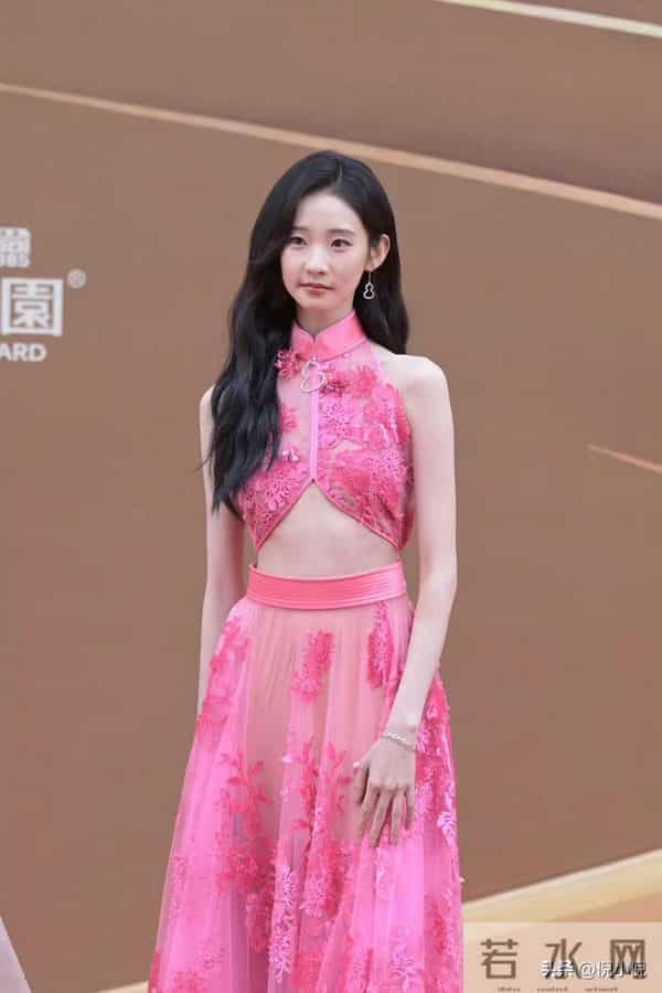 张艺凡~粉色镂空礼服,亮相第二十届华表奖