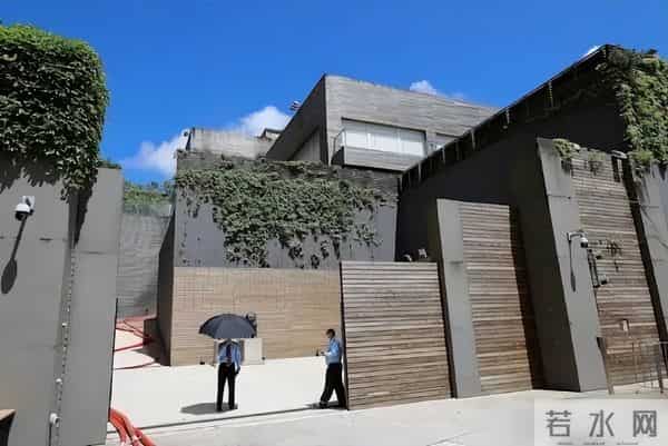 林青霞11亿豪宅遭大量蟑螂入侵,亲手处理却杀不完,被吓到坐立难安:“真的拿它没办法!”