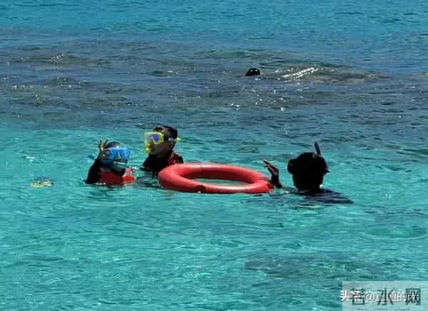 夏露晒泳装照 秀美背大长腿 疑马龙为妻拍照 陪两个儿子马尔代夫度假