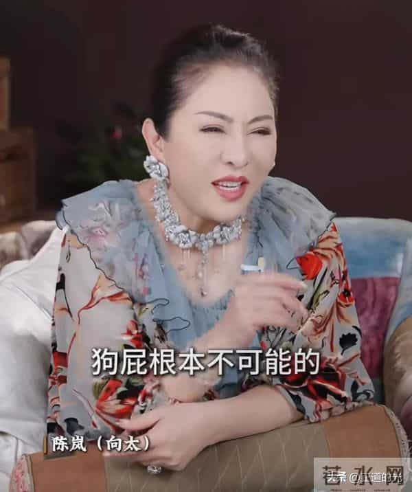 向太:男人30岁基本没出息 40而立才正确 称男人晚熟是永远教不会的