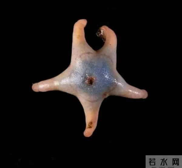 24张活久未见的照片：玛丽莲·梦露因为“招牌”动作被家暴