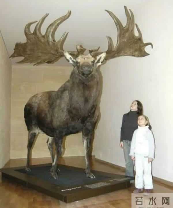 24张活久未见的照片：玛丽莲·梦露因为“招牌”动作被家暴