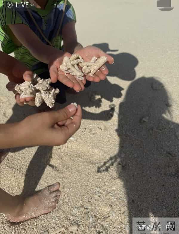 马龙教儿子潜水父爱满满 掌镜为夏露拍美照 结婚8年依旧如胶似漆