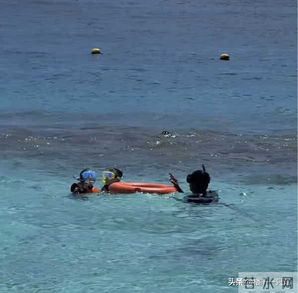 马龙教儿子潜水父爱满满 掌镜为夏露拍美照 结婚8年依旧如胶似漆