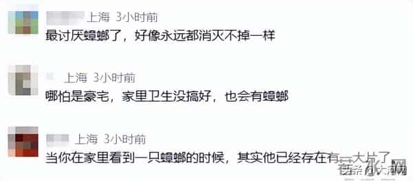 林青霞自曝豪宅遭入侵:被吓到坐立难安!网友支招→