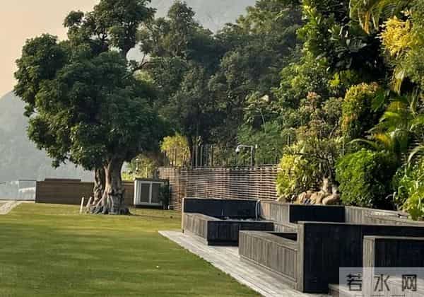 香港著名女星11亿豪宅,惊现大量蟑螂,现场尸横遍野,惨不忍睹