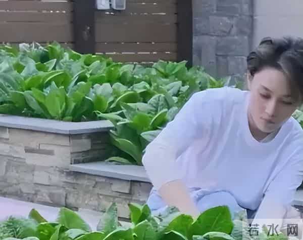 和李晨分手6年后嫁普通人,整个人都变样了,如今活成了人生赢家