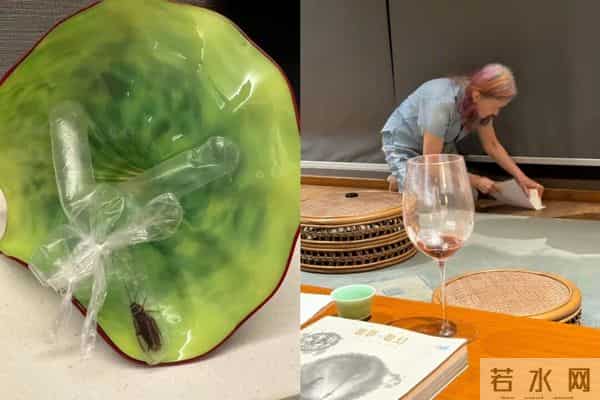 林青霞11亿豪宅遭大量蟑螂入侵,亲手处理却杀不完,被吓到坐立难安:“真的拿它没办法!”