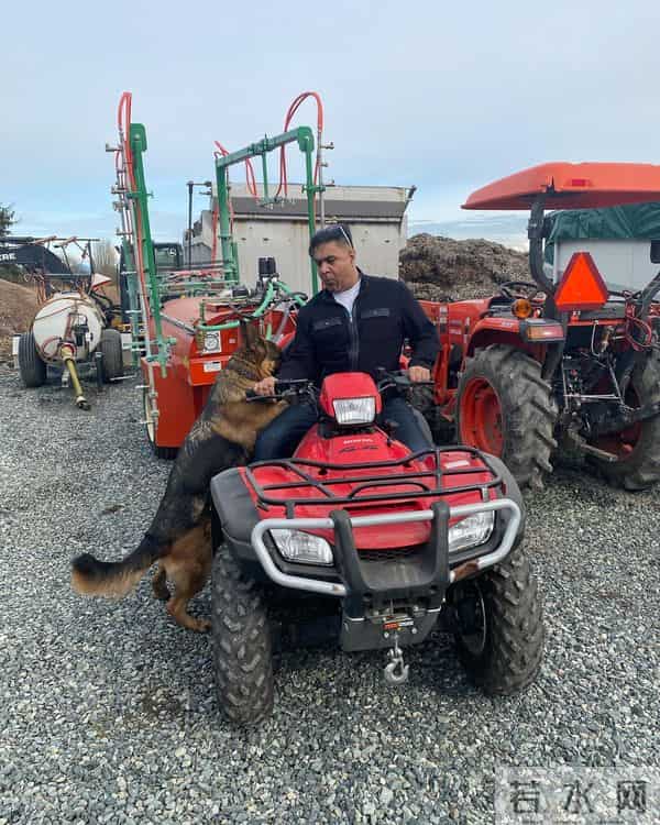 55岁印度裔艺人宣布回归TVB,真的很多年没见他拍戏了