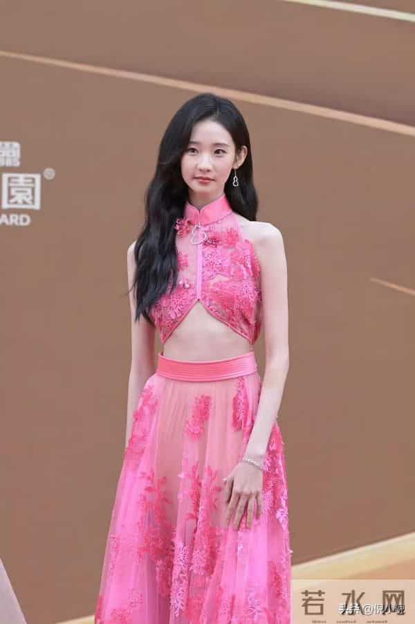 张艺凡~粉色镂空礼服,亮相第二十届华表奖