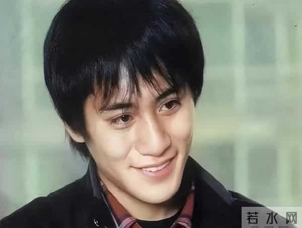 混血基因的弊端出现了,47岁刘烨"老来俏",让儿子诺一的处境尴尬