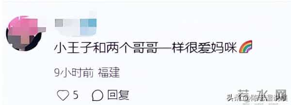 张柏芝没想到,“父亲身份成谜”的七岁儿子,如今也开始为她争光