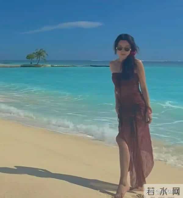 马龙一家海岛度假,夏露戴草帽甜笑似女星,他陪两儿子潜水超有爱