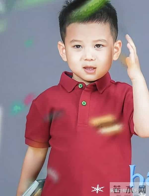 王雷小儿子4岁生日，李小萌露肩装女人味十足，弟弟比哥哥颜值高