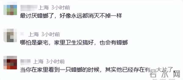 林青霞豪宅遭大量“小强”入侵，被吓到坐立难安……