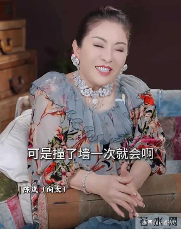 向太:男人30岁基本没出息 40而立才正确 称男人晚熟是永远教不会的