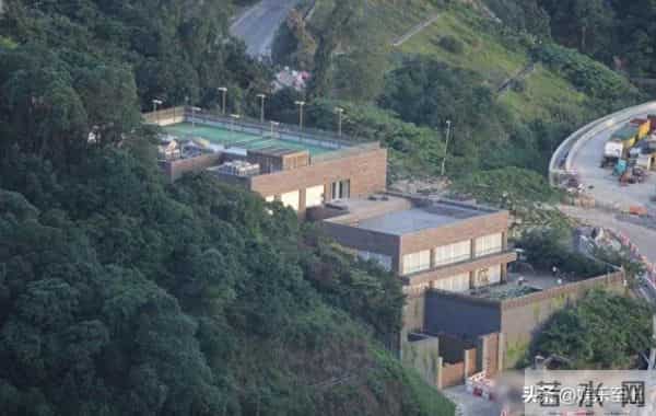 林青霞11亿豪宅遭大量蟑螂入侵,杀都杀不完,被吓到坐立难安